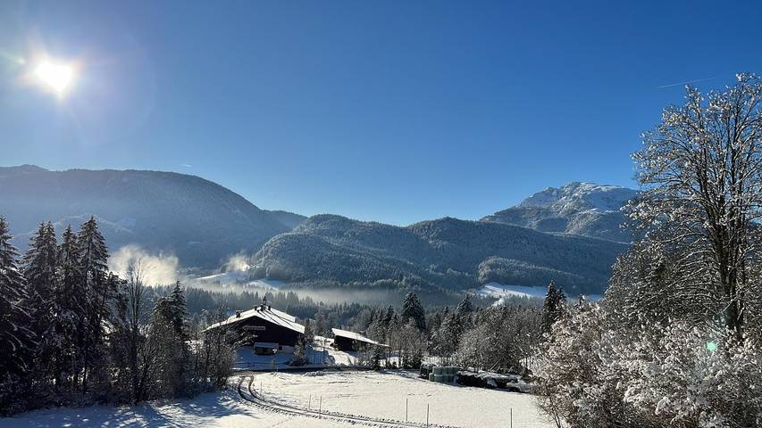 Ganze Ferienwohnung, Hundepension Almfrieden - Appartement Sonnenuntergang 25 qm mit Balkon in Reit im Winkl, Bayerische Alpen