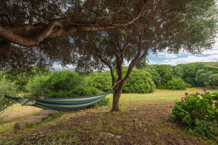 Appartamento intero, Appartamento 'Stella Marina Piscina E Vista Mare' con vista mare, Wi-Fi e aria condizionata in Aglientu, Gallura