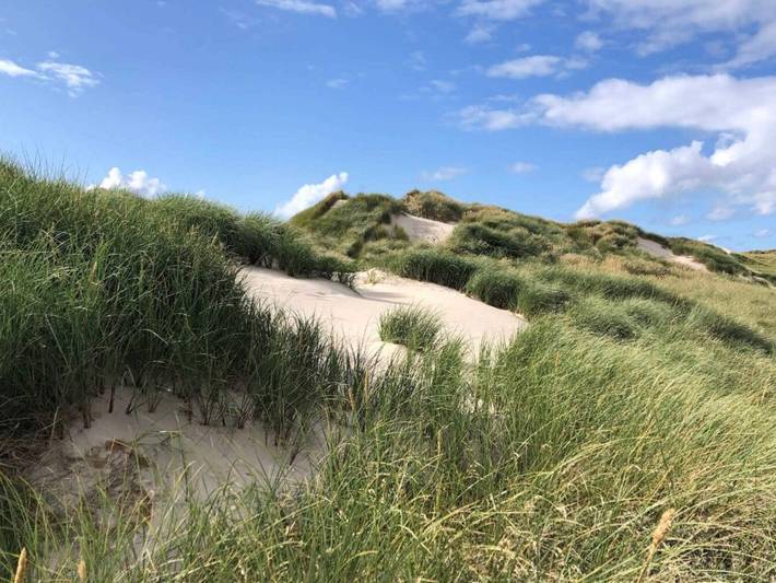 Ferienhaus für 2 Personen, mit Terrasse in Vejers Strand - 4
