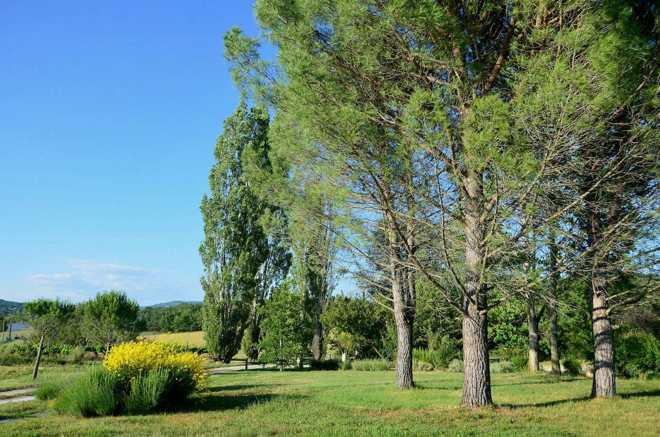 Villa lumineuse au cœur du Luberon in Céreste, Parc naturel régional du Luberon