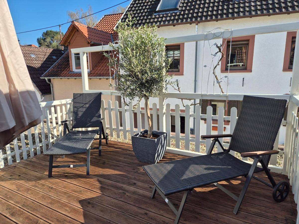 Rebenhaus St Martin in Sankt Martin, Südliche Weinstraße