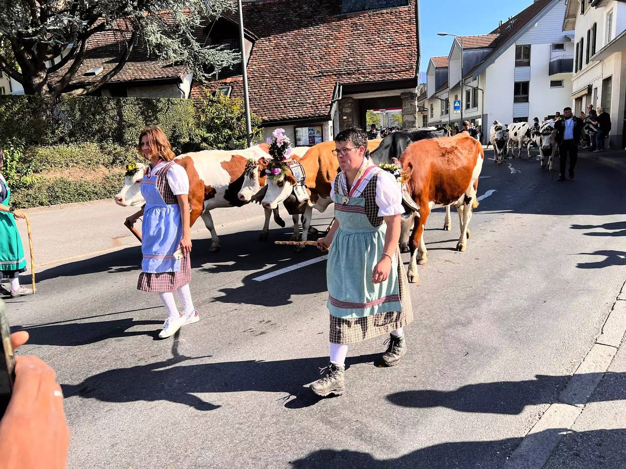 Entire apartment, 4 Pièces 6 Personnes in Chailly-Montreux, Montreux