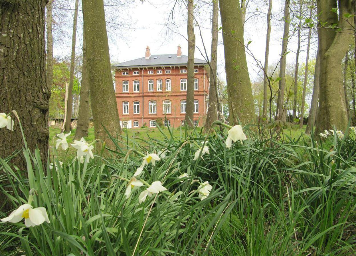 Ganze Ferienwohnung, Haus im Park - Hebbel-Stuben mit gr. Wohnküche & Tv in Wesselburen, Nordsee - Schleswig-Holstein