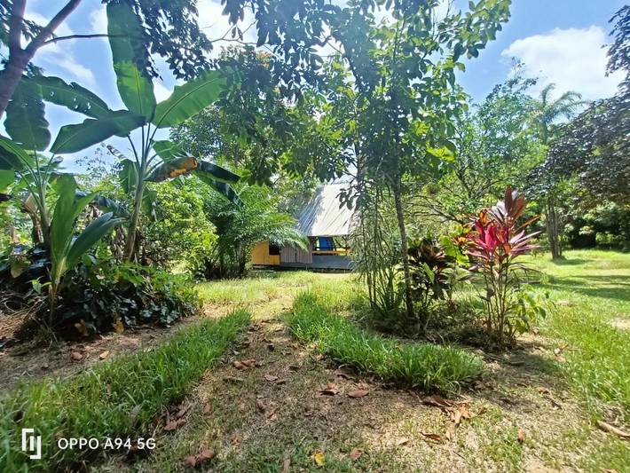 Cottage pour 8 personnes, avec vue ainsi que terrasse et jardin