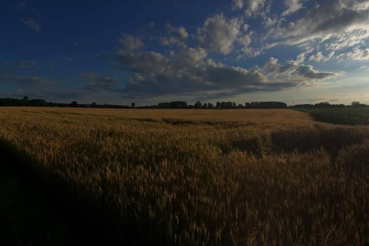 Gîte pour 6 personnes à Rheinau - 4