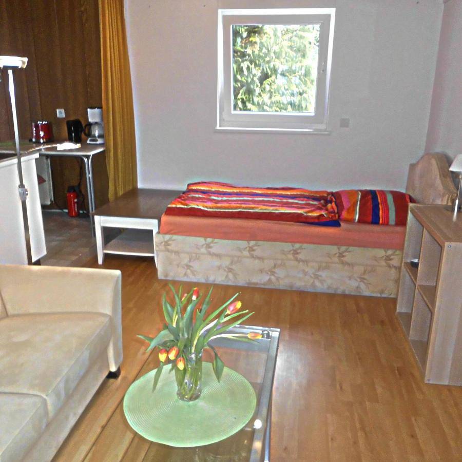 Ganze Ferienwohnung, Deluxe Single Room in Coesfeld, Münsterland