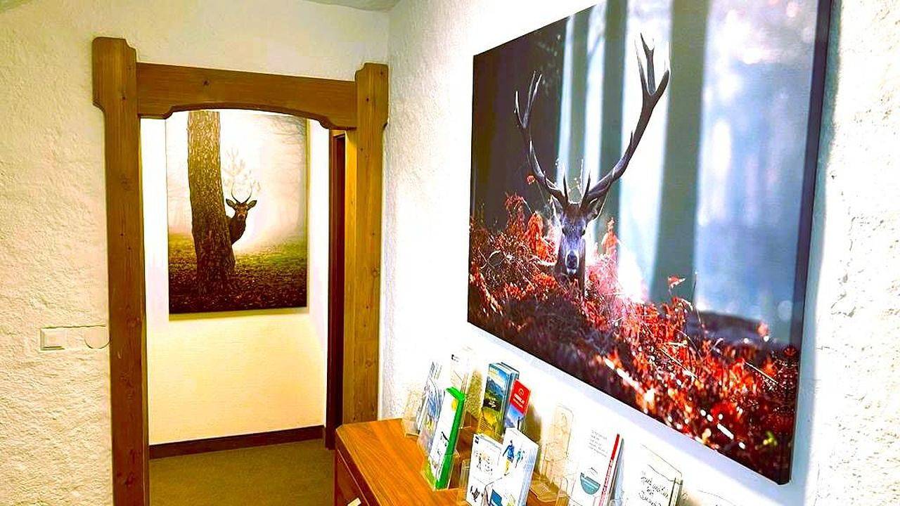 Ganze Ferienwohnung, Ferienwohnung für 2 Personen (44 m²) in Fischen im Allgäu in Fischen, Bayerisch Schwaben