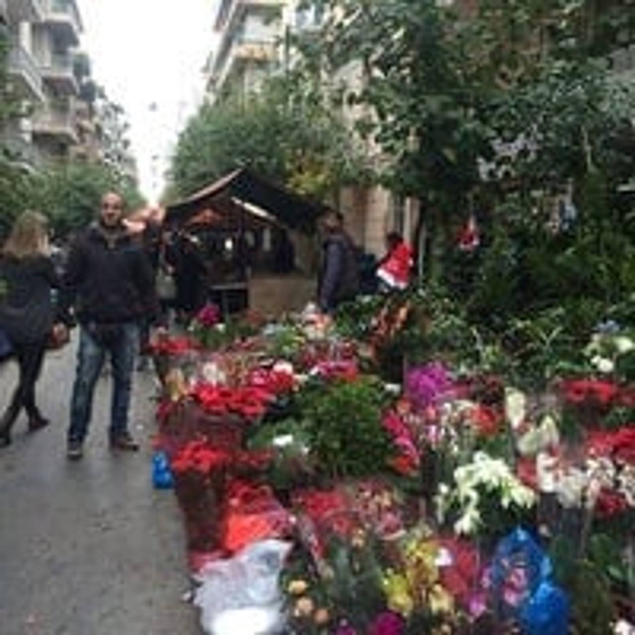 Appartamento intero, Alexandra's path in Gizi, Atene