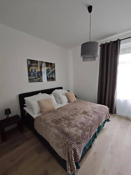 Gîte pour 6 personnes dans Landau in der Pfalz - 3