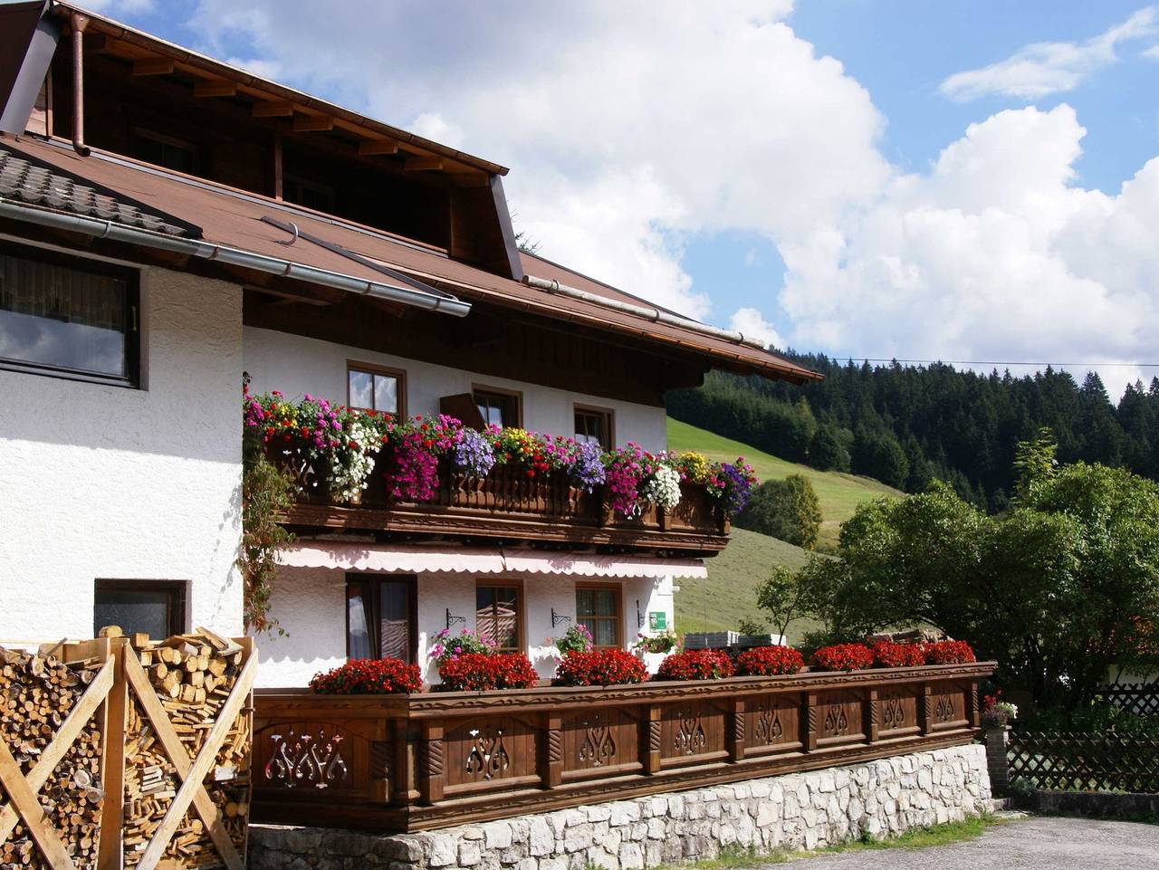 Ganze Wohnung, Bio-Arche-Bauernhof Waldesruh - Apartment in Tannheim (Tirol), Allgäuer Alpen (Österreich)