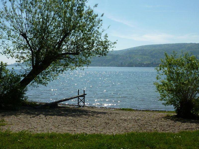 Ganze Ferienwohnung, Ferienhaus Familie Otto - 2-Zimmer-Fewo, Terrasse, Seegrundstück, Eg, 50 qm in Hemmenhofen, Gaienhofen