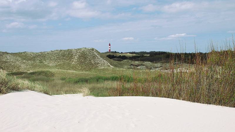 Ganze Ferienwohnung, Testhotel Amrum - Testzimmer 0000-2 in Nebel, Amrum