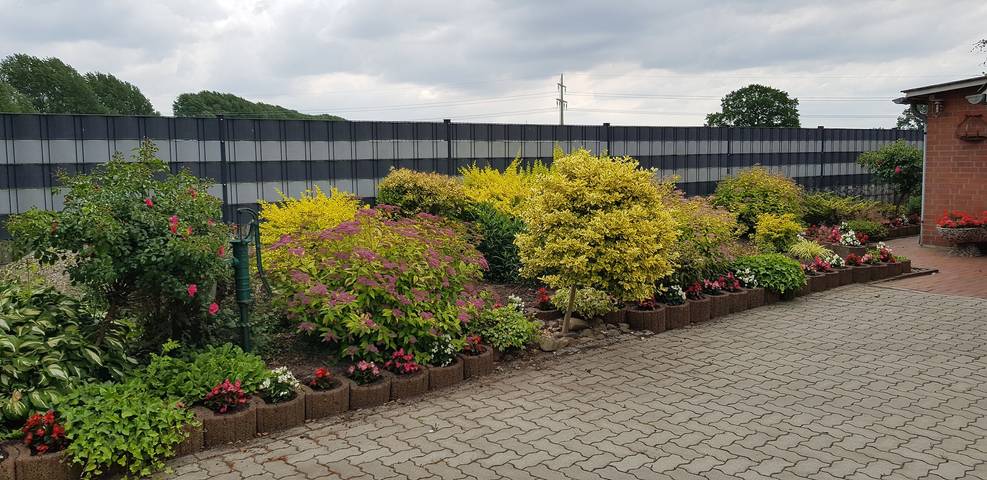 Ferienhaus für 4 Personen, mit Garten und Balkon in Hemmoor - 4