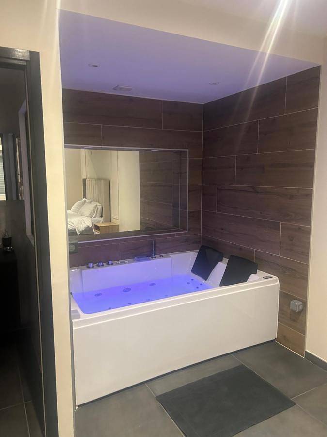 Gîte pour 2 personnes, avec terrasse et jacuzzi, animaux acceptés à Ségny - 4