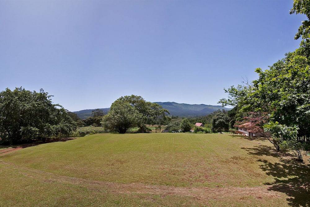 The Cottage Quinta das Colmeias - Set in einem Bio-Bauernhof in Madeira in Santo António da Serra, Madeira