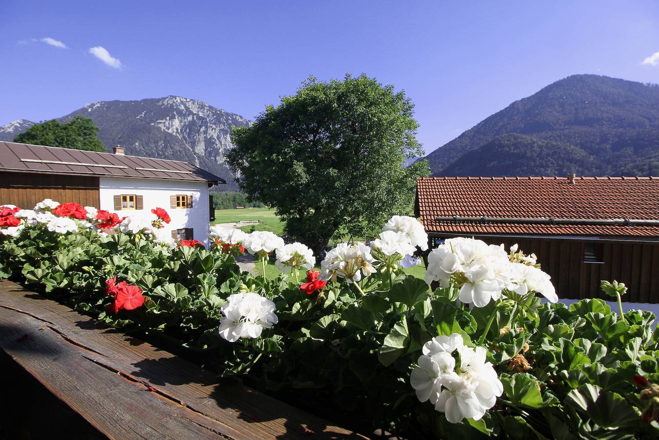 Schifterhof Ruhpolding - Ferienwohnung Bauernhof Südbalkon 36qm, Kochni., 1 Schlaf- und 1 Wohnzimmer in Ruhpolding, Bayerische Alpen