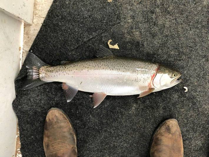 Appartamento per 16 persone in Montana (USA)