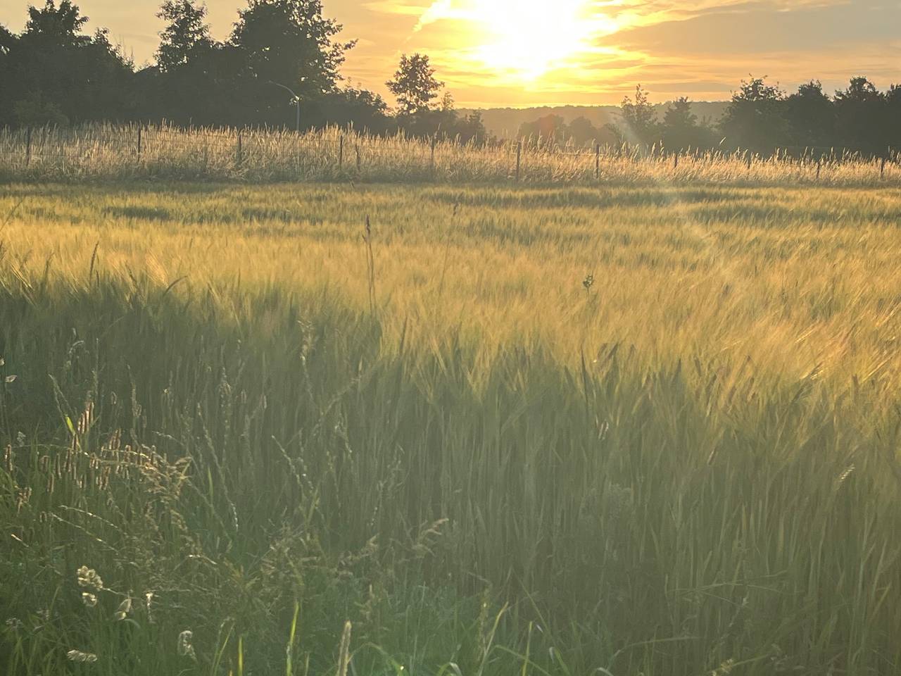 Ferienwohnung Auf der Landwehr - Ferienwohnung, 1-4 Personen, 55 qm in Coesfeld, Münsterland