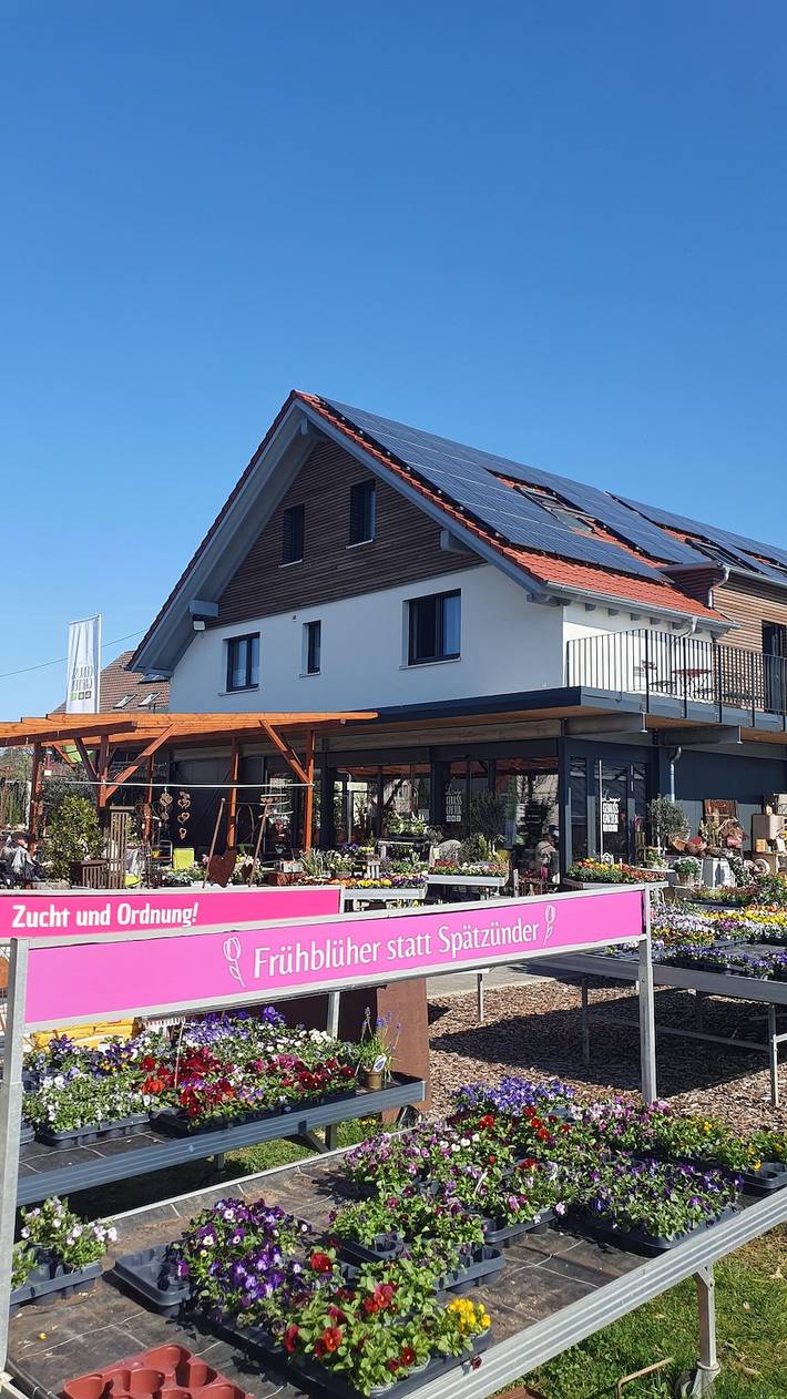 Ganze Ferienwohnung, Lemp's Genussgarten - Ferienwohnung Bienenweide, 85qm, 2 Schlafzimmer, max 4 Personen in Langenargen, Region Bodensee-Oberschwaben