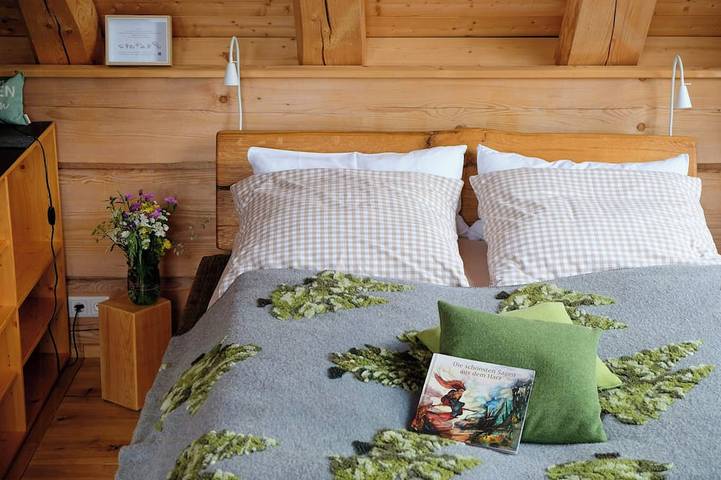 Ferienhaus für 2 Personen, mit Garten in Buntenbock - 4