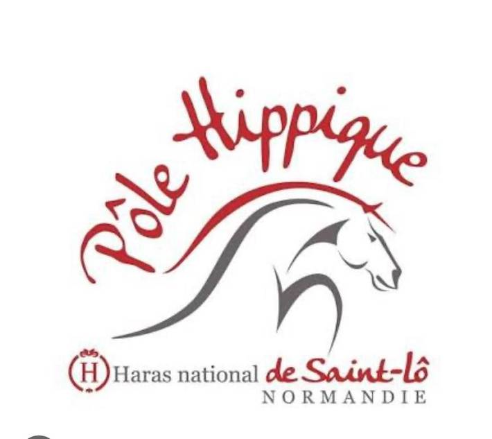 Gîte pour 4 personnes, avec terrasse et vue à Saint-Lô - 3