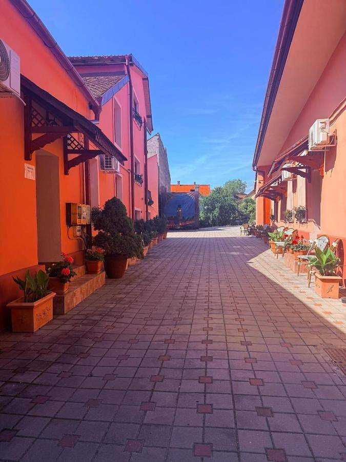 Pensiunea Daniel in Sibiu, Carpates