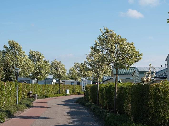 Ferienhaus für 4 Personen, mit Garten und Whirlpool sowie Terrasse und Pool in Renesse - 4