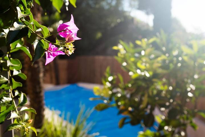 Ferienhaus für 6 Personen, mit Seeblick und Garten sowie Pool und Ausblick in Torbole - 3