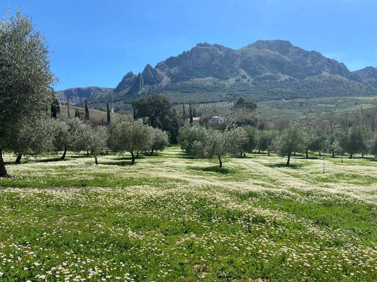 Posada Niña Margarita in Priego de Córdoba, Sierras Subbéticas