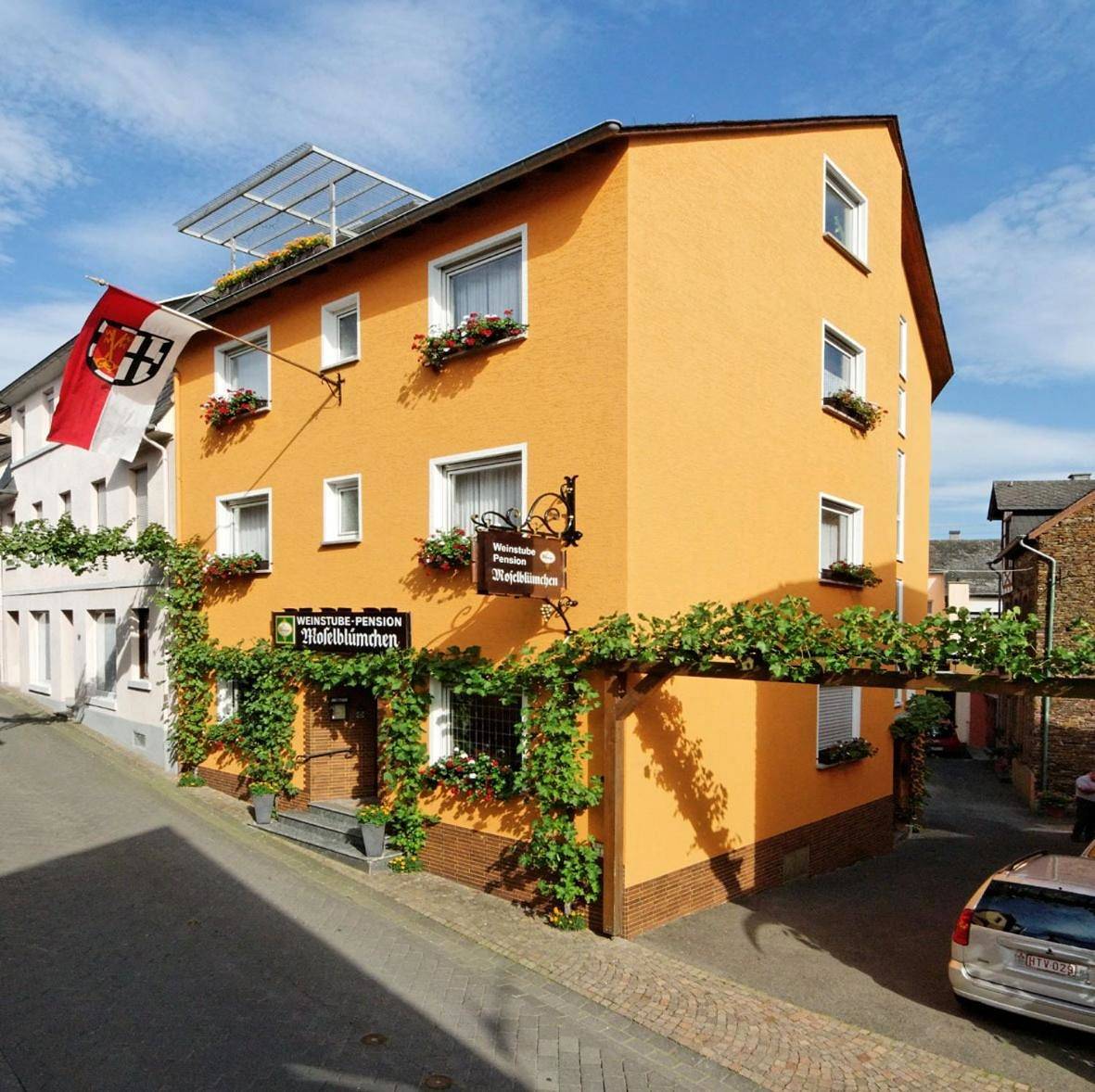 Weinstube Pension Moselblümchen in Zeltingen-Rachtig, Région de Bernkastel-Kues