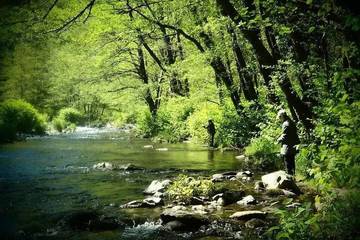 Gîte pour 4 personnes, avec terrasse à Arlebosc