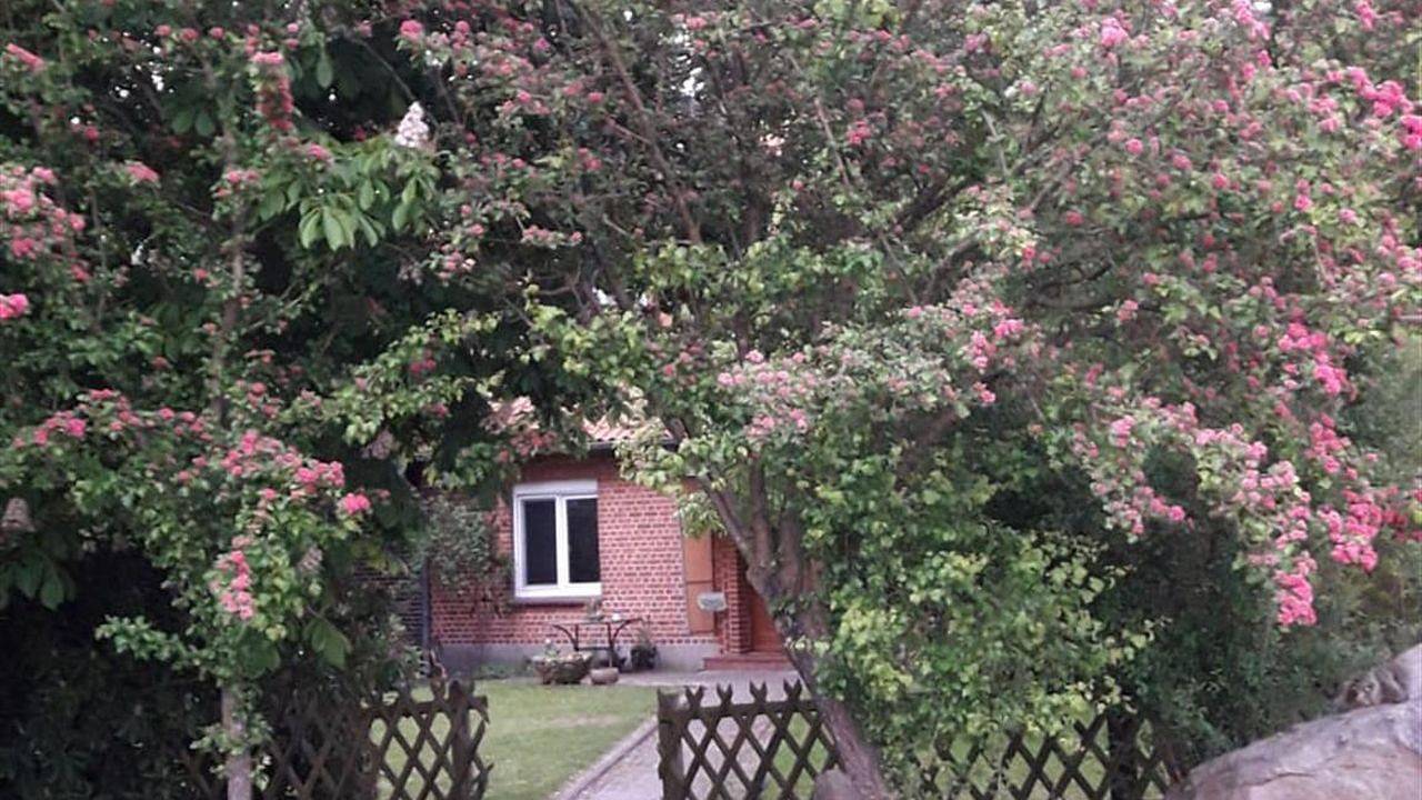 Geheel vakantieappartement, Ferienwohnung für 6 Personen (60 m²) in Wietzendorf in Wietzendorf, Landkreis Heidekreis