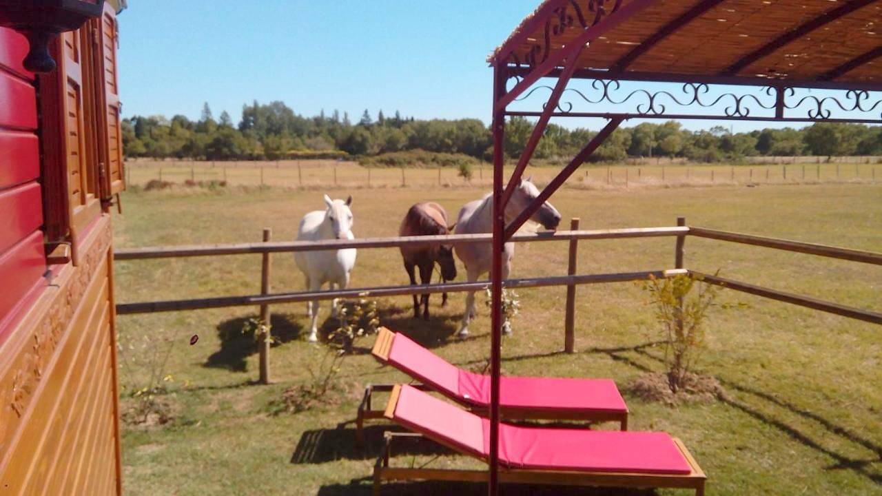 La Nanou'che (roulotte en Camargue) in Le Cailar, Côte méditerranéenne (France)