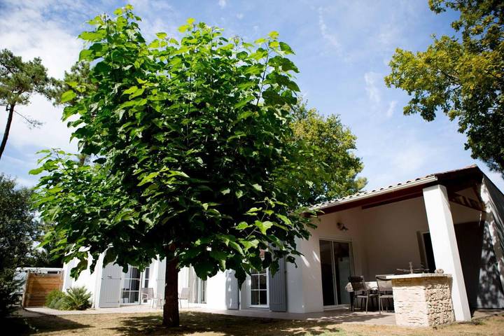 Location de vacances pour 7 personnes, avec vue et jardin dans Vert Bois - 2