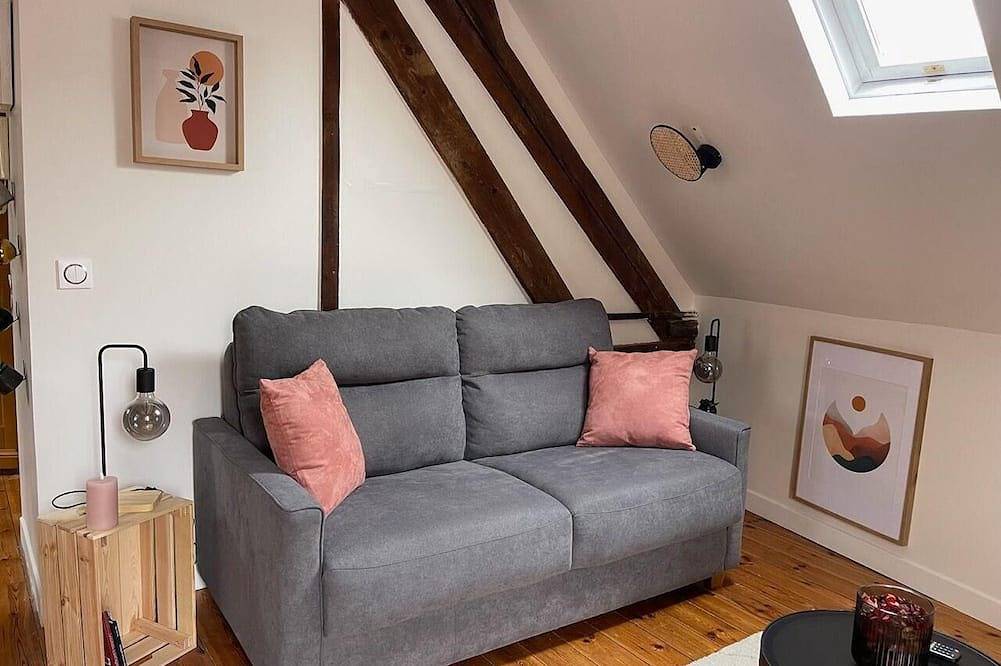 Apartamento entero, Apartamento de vacaciones Auxerre para 1 - 4 personas con 1 dormitorio - Apartamento en casa unifami in Auxerre, Auxerre region