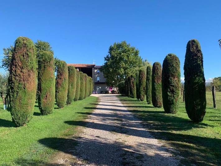 Appartamento per 2 persone, con giardino e panorama nonché terrazza in Bussolengo