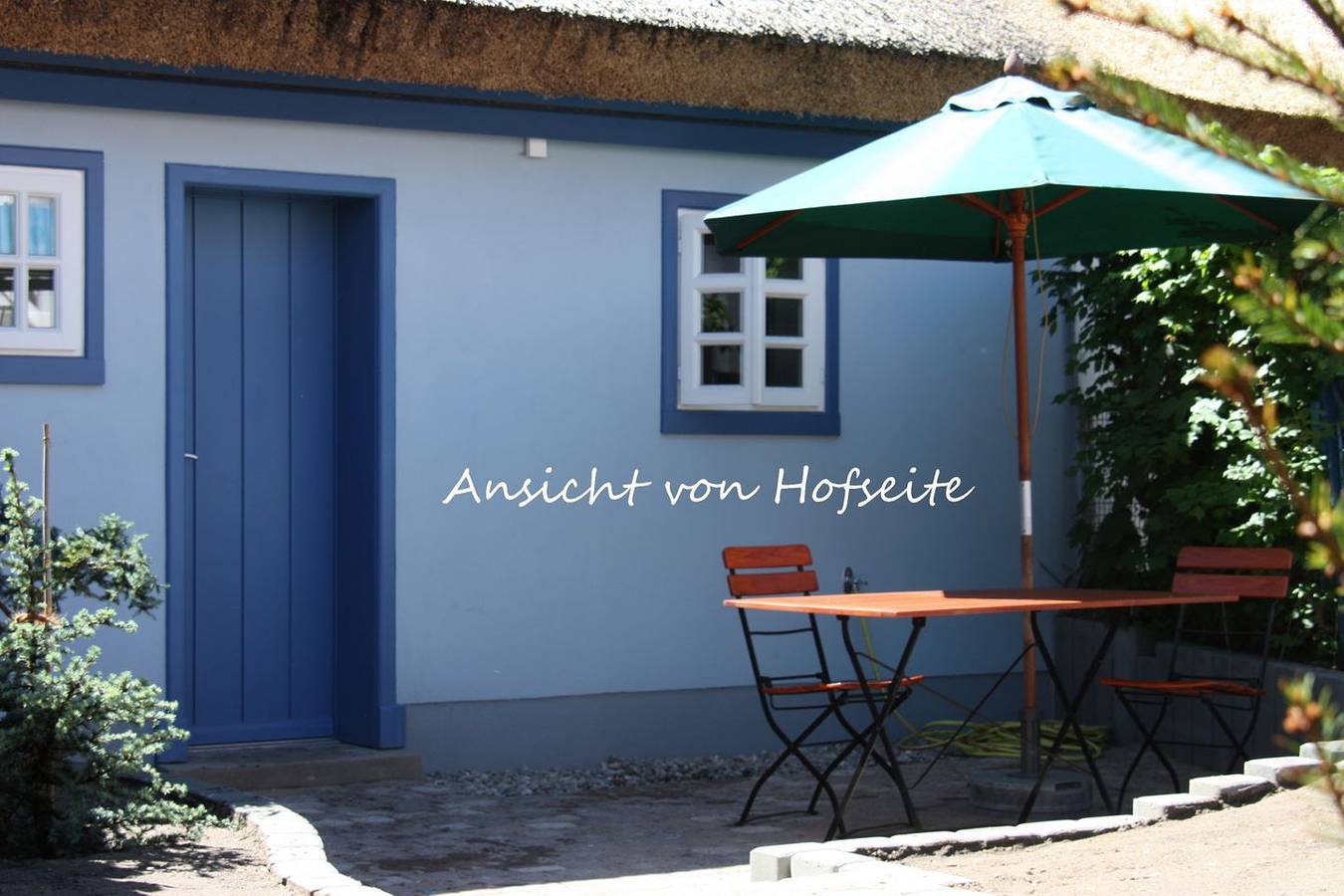 Ferienhaus mit Reetdach in Zingst, Fischland - Darß - Zingst