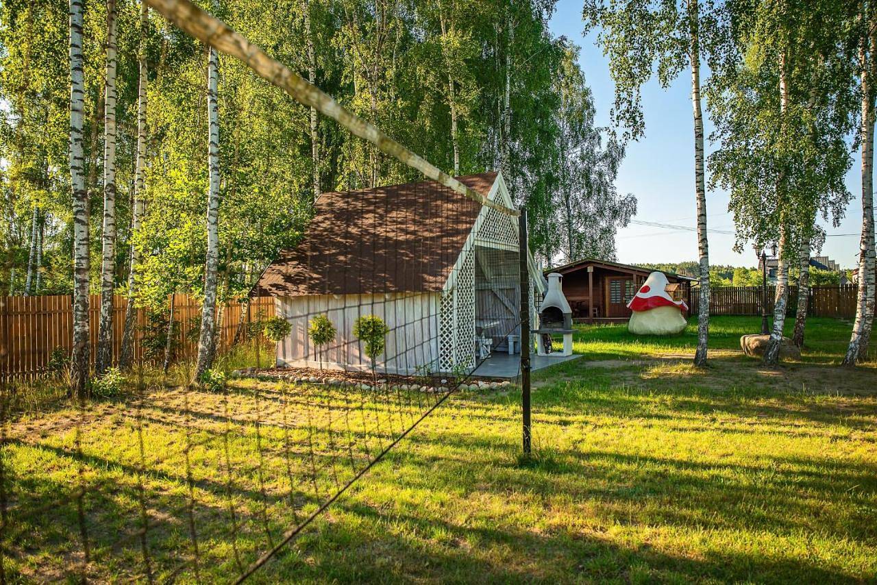 Domki w lasku in Wiele, Bory Tucholskie