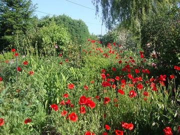 Gîte pour 5 personnes, avec jardin et terrasse dans Xertigny