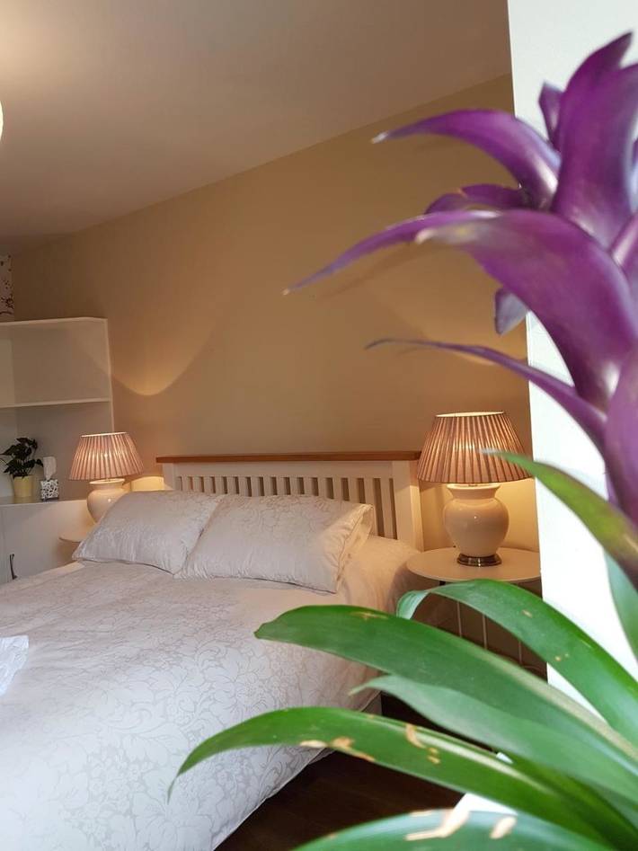 Holiday rental for 4 people, with Terrace and Garden in Castlemartyr