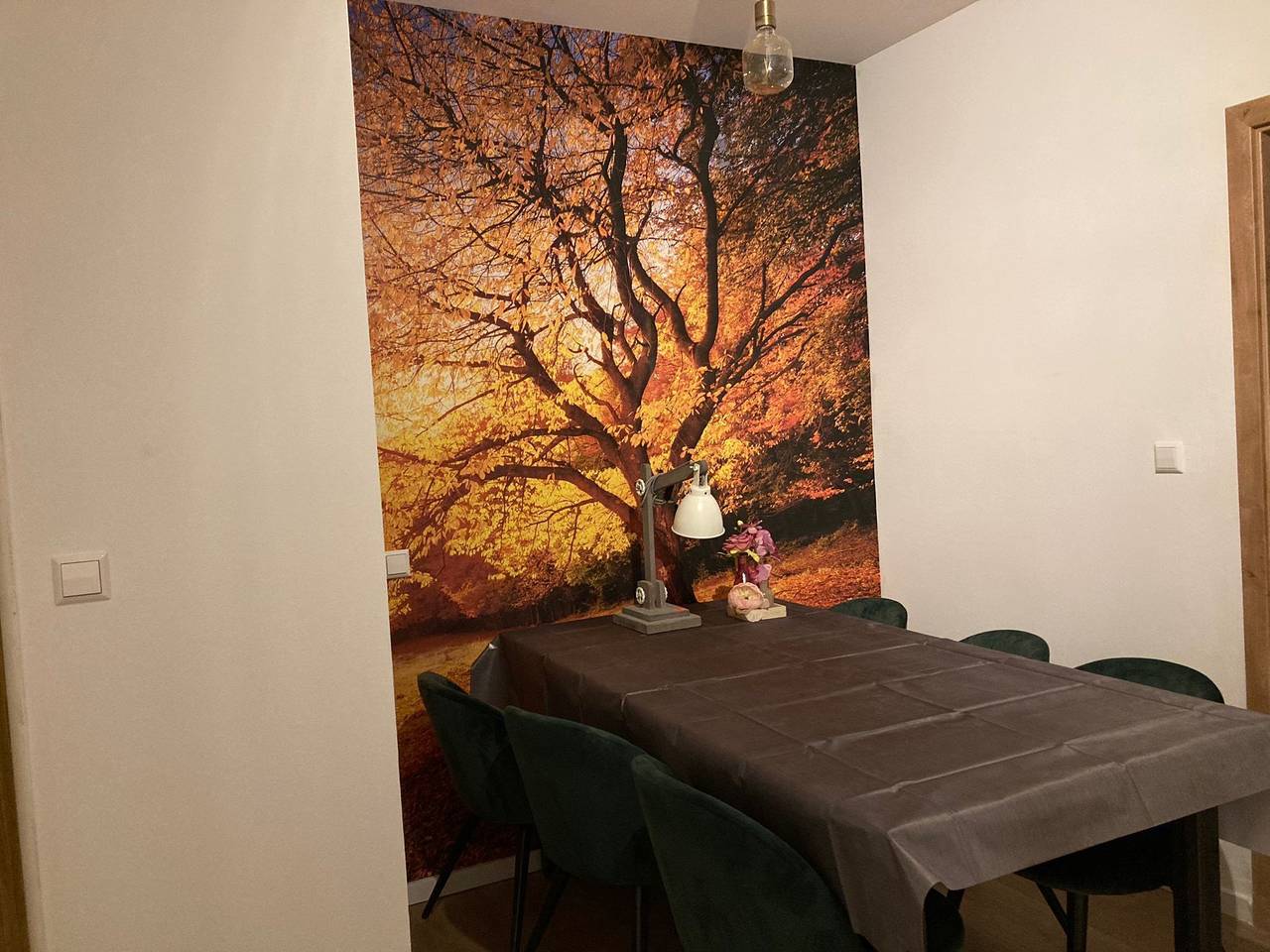 Ganze Wohnung, Ferienhaus in Willingen nahe Skipisten in Willingen, die Mittelgebirge