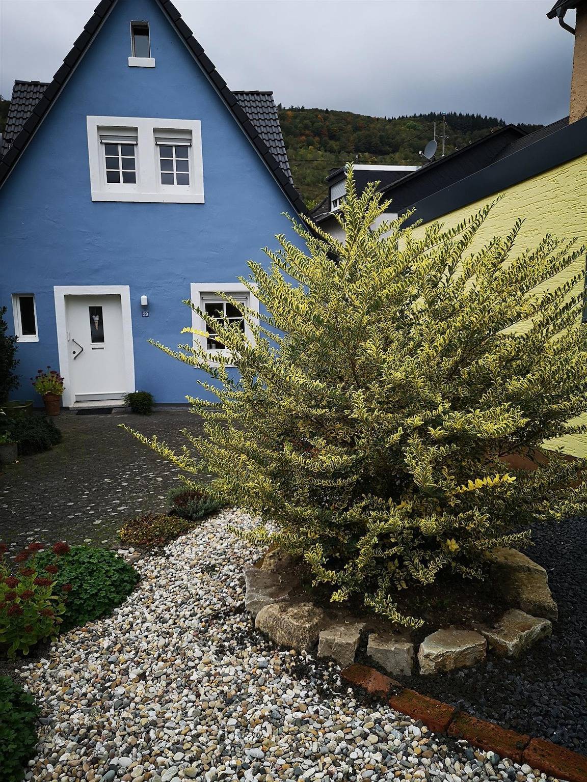 Das blaue Haus in Zeltingen-Rachtig, Bernkastel-Kues & Umgebung