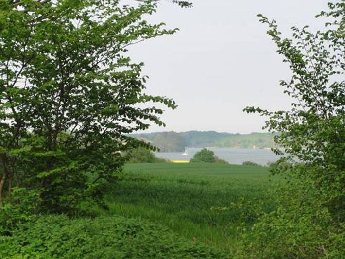 Ferienhaus für 4 Personen, mit Terrasse und Garten in Angeln Halbinsel - 4