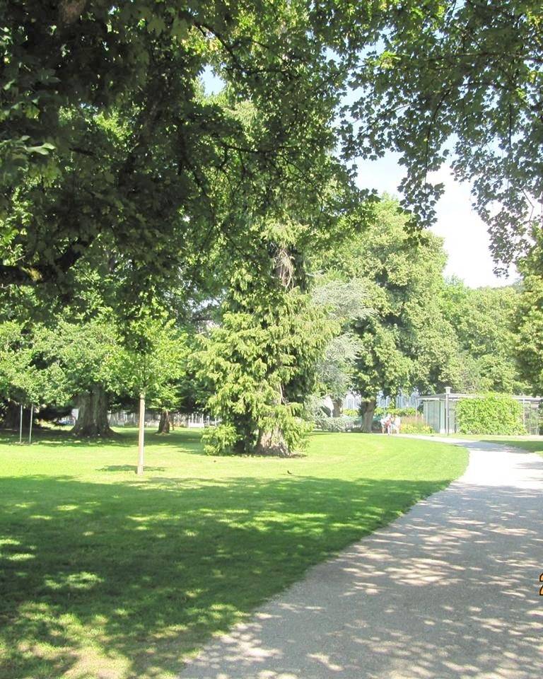 K-Hotel (Grüner Baum) in Überlingen, Region Bodensee-Oberschwaben