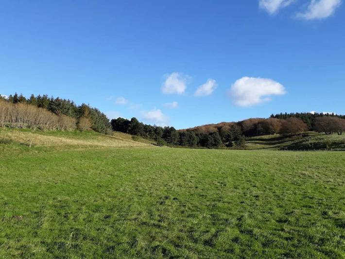Ferienhaus für 10 Personen, mit Pool, kinderfreundlich in Bønnerup Strand - 4