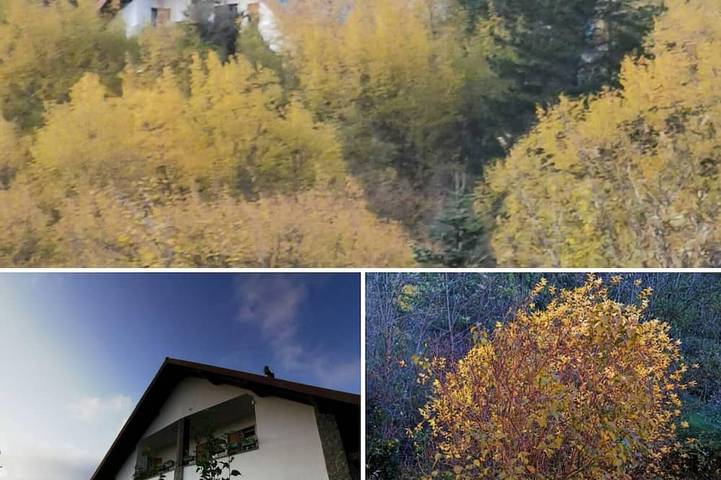 Appartamento per 3 persone, con giardino, con animali domestici in Borzonasca