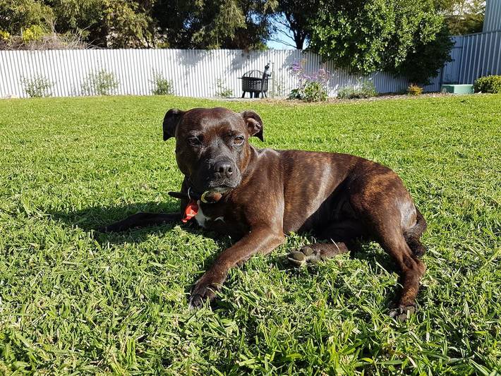 Holiday home for 8 people, with hot tub and garden in Goolwa Beach