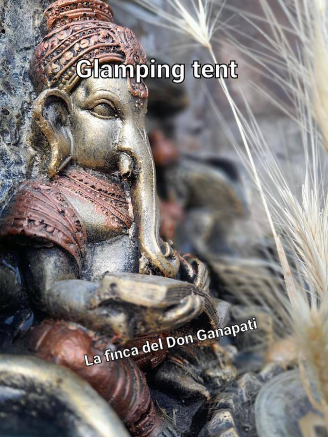 La finca del don Ganapati in San Bartolomé de Tirajana, Gran Canaria Sur