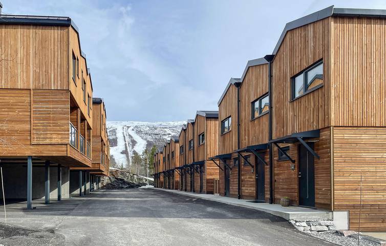 Ferienwohnung für 4 Personen, mit Terrasse in Lesja