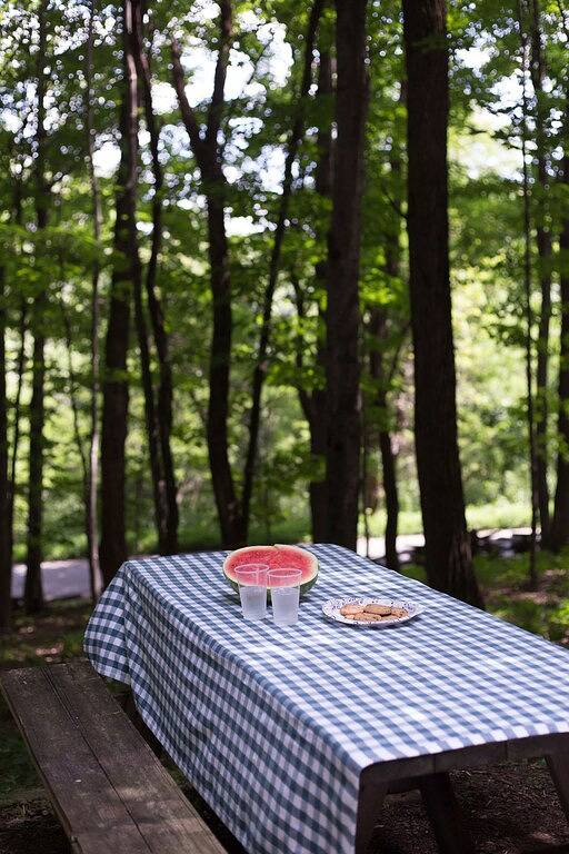 Wirtschaft ohne Opfer in Seneca Rocks